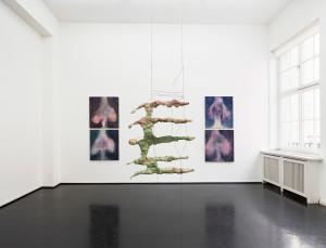 e-david-installation-web-2.jpg